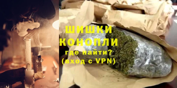 шишки Верхний Тагил
